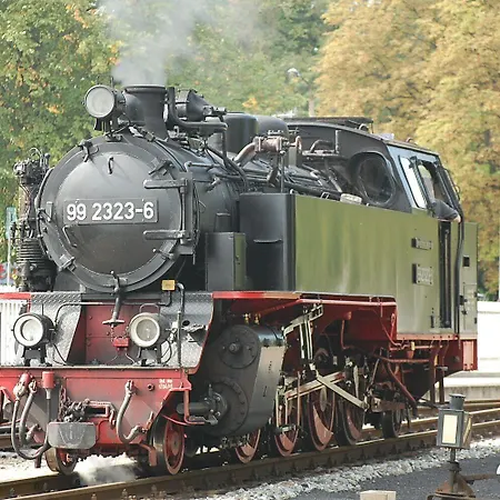 Sommer Бад-Доберан