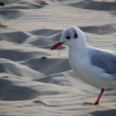 Отель Sommer 2*